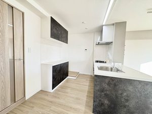 岩井通COSMOS 0905号-2