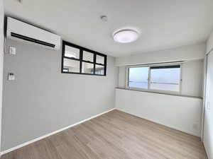 岩井通COSMOS 0905号-3