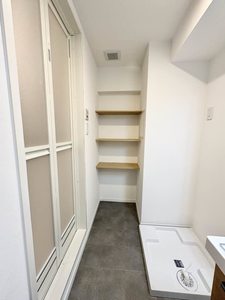 岩井通COSMOS 0905号-8