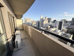 岩井通COSMOS 0905号-10