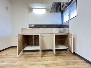 ボナール今本 A202号-13