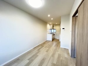 ＰＡＯ平手0205-3