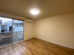 ＡＮＮＥＸＡⅢ 0203号-3