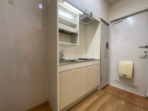 ＡＮＮＥＸＡⅢ 0203号-4