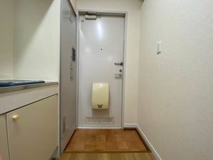 ＡＮＮＥＸＡⅢ 0203号-8