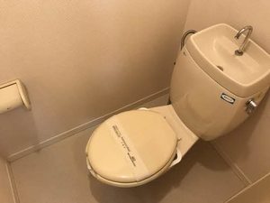 コートビレッジジュン A101号-6