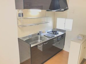 グリーンヒルズ B203号-3