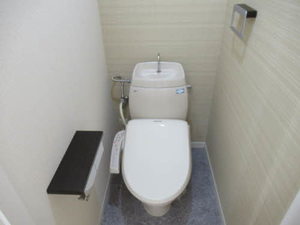 フジックス D106号-8