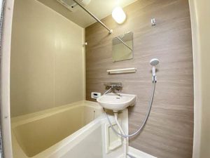 フジックス E205号-6