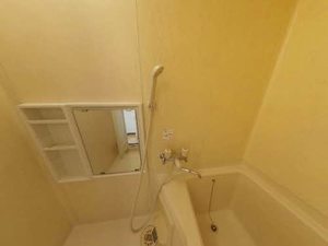 サンハウスつつじ 0205号-9