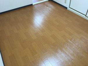 コーポさくら 0102号-6