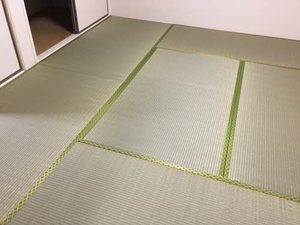 コーポさくら 0102号-7