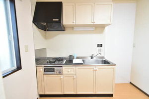 レジデンス開明 0206号-5