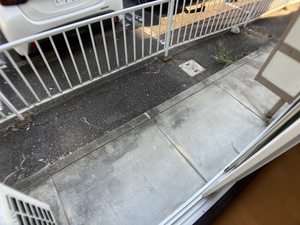 フレグランス　グリンピース 0102号-11