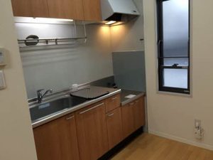 サニーハウス 0102号-5