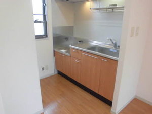 サンリーフ C207号-6