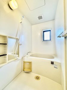 Ｗｉｎｄｗａｒｄ 0101号-11