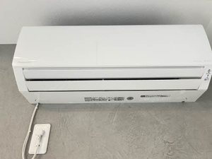 パストラル安曇野 A101号-10