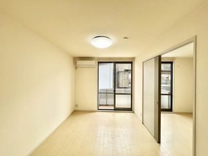 アドウチダ 0101号-4