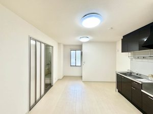 アドウチダ 0101号-10