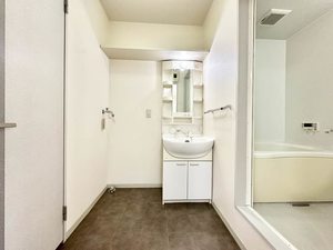 アドウチダ 0101号-13