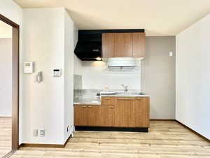 アドウチダ 0202号-12