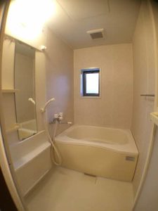 グリーンホームズ 0101号-11