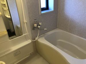 グリーンホームズ 0203号-6