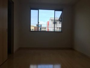 Ｍａｉｓｏｎ　Ｐａｌｍｏ 0101号-9