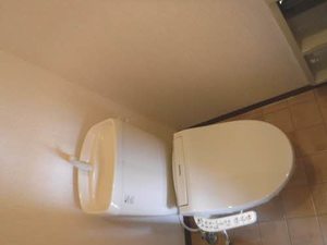 ディアス　ガーデン 0101号-12