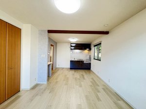 シャンティー 0102号-2