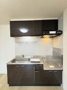 シャンティー 0102号-3