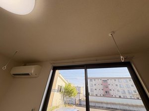 シャンティー 0102号-11