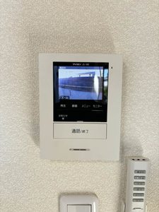 Ａｎｇｅｌ　Ｗｉｎｇ C105号-13