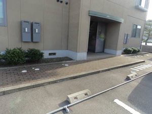 Ｆｉｎｅ　ＹＯＮＥＤＡ C207号-2