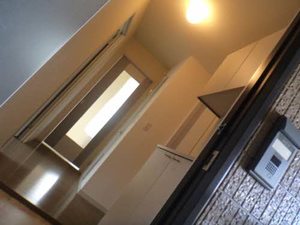 Ｆｉｎｅ　ＹＯＮＥＤＡ C207号-3