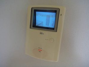 Ｆｉｎｅ　ＹＯＮＥＤＡ C207号-4