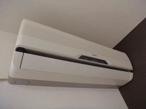 Ｆｉｎｅ　ＹＯＮＥＤＡ C207号-7