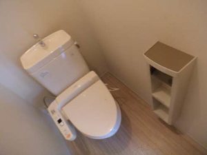 Ｆｉｎｅ　ＹＯＮＥＤＡ C207号-12