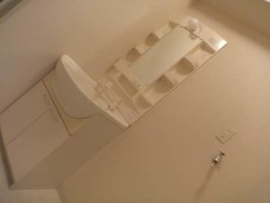 Ｆｉｎｅ　ＹＯＮＥＤＡ C207号-13