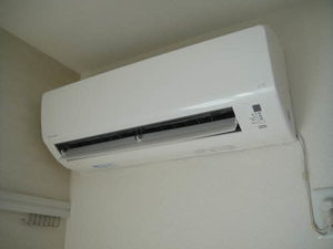 アゼリアマンノ C201号-15