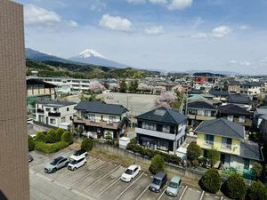 ベルクリア 0603号-15