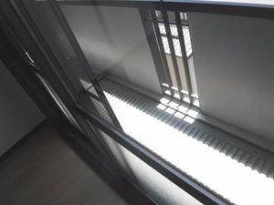 メゾン　マグノリア B205号-4