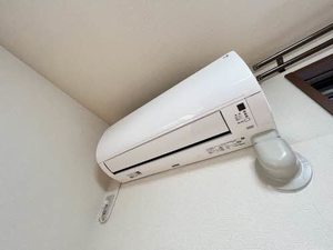 さくら 0102号-4
