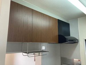 アピス A202号-10