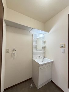 アピス C201号-9