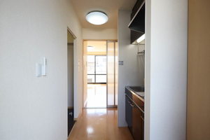 ピッセン　リッツ B203号-6