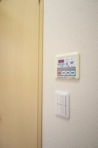 ピッセン　リッツ B203号-11