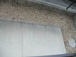 レコルト天神 B101号-10