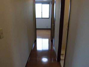 ヴィラテポーレ３ 3101号-11